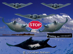 Hopefully the political statement is ok.
Just saw a phot... by Christian Nielsen 